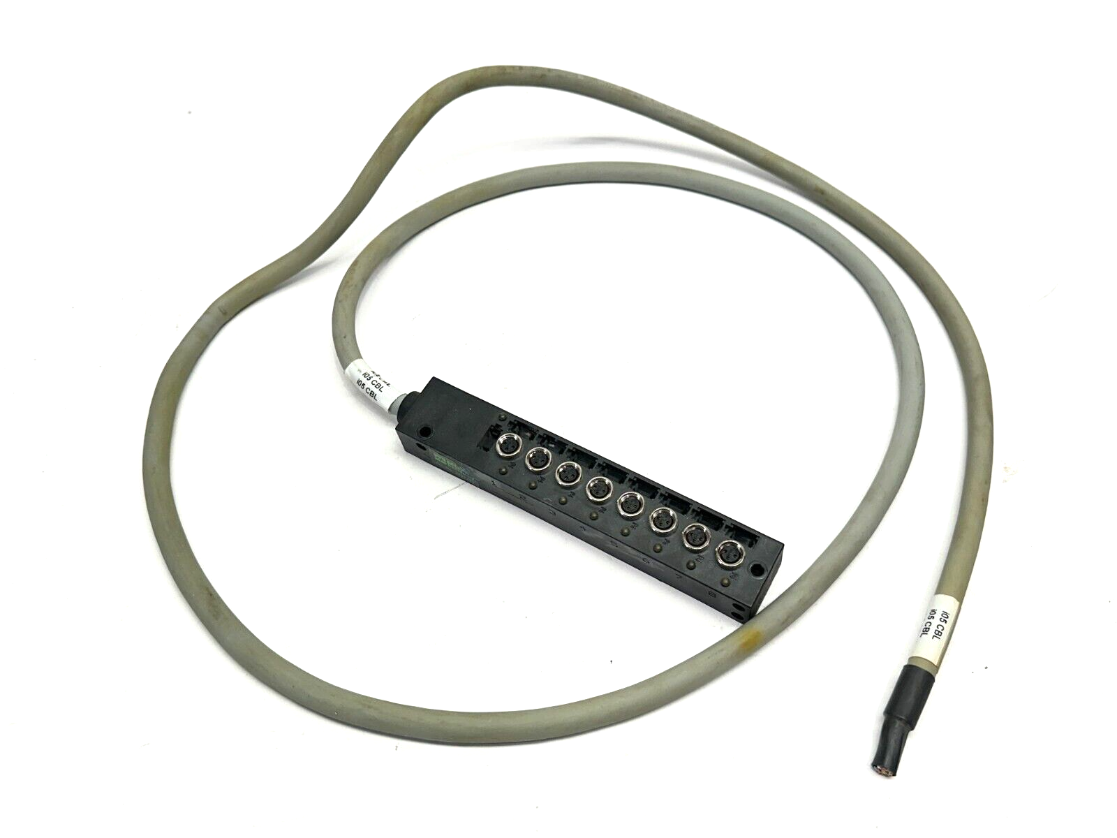 Murr Elektronik K921 00000 00123 8-Way M8 Connector Code 850C8 3827245 60" Cable - Used - Maverick Industrial Sales