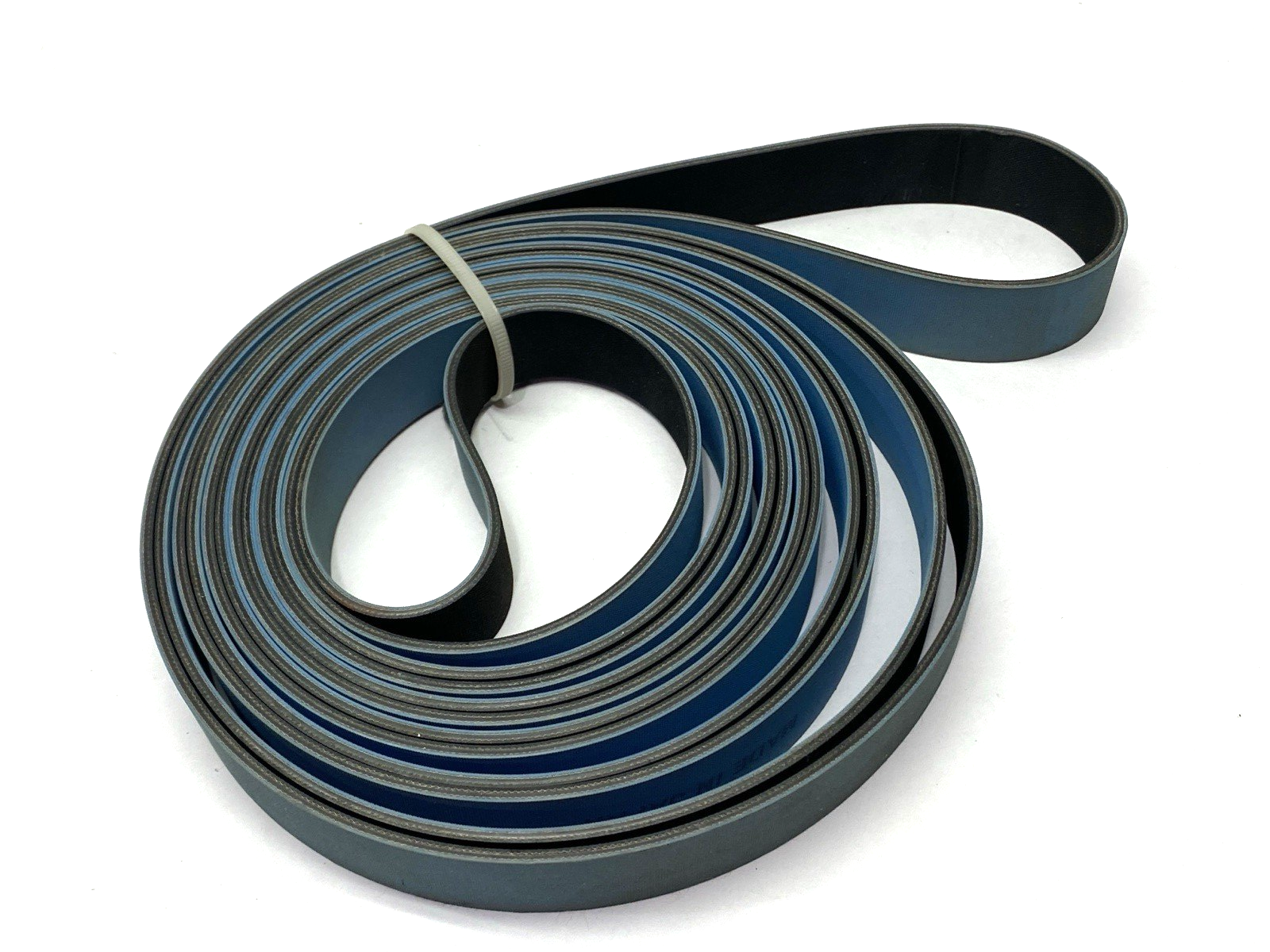 Nitta 28X5600 Poly Belt M-1000 - Used - Maverick Industrial Sales