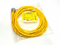 Turck RKM 40-5M Minifast Power Cable Female 7/8"-16 UN 4-Pin 5m U2045-05 - Maverick Industrial Sales