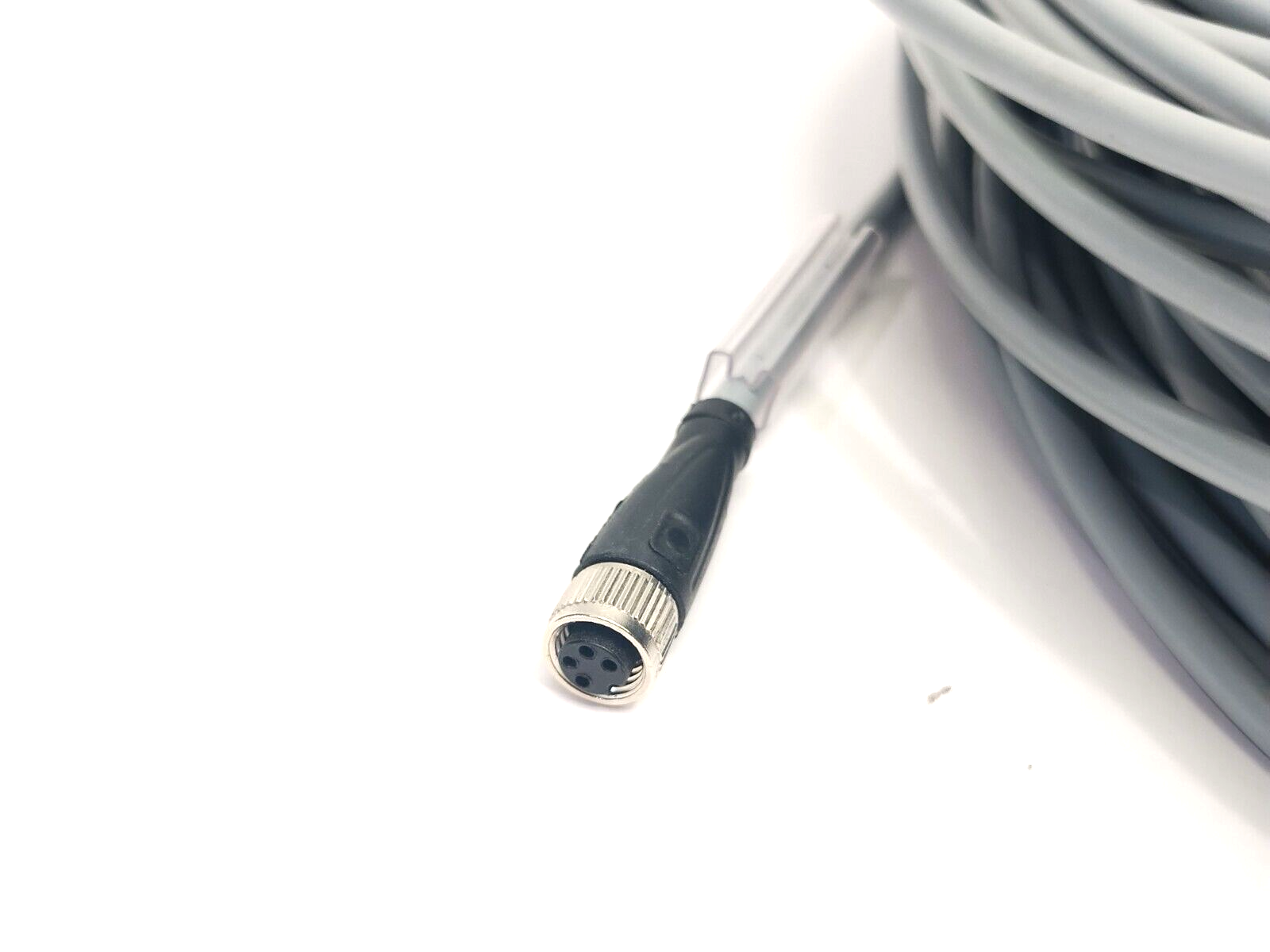 V31-GM-70M-PVC, 231952 | Pepperl+Fuchs V31-GM-70M-PVC Female Cordset M8 4-Pin To Leads 70m 231952 - New Other - Maverick Industrial Sales