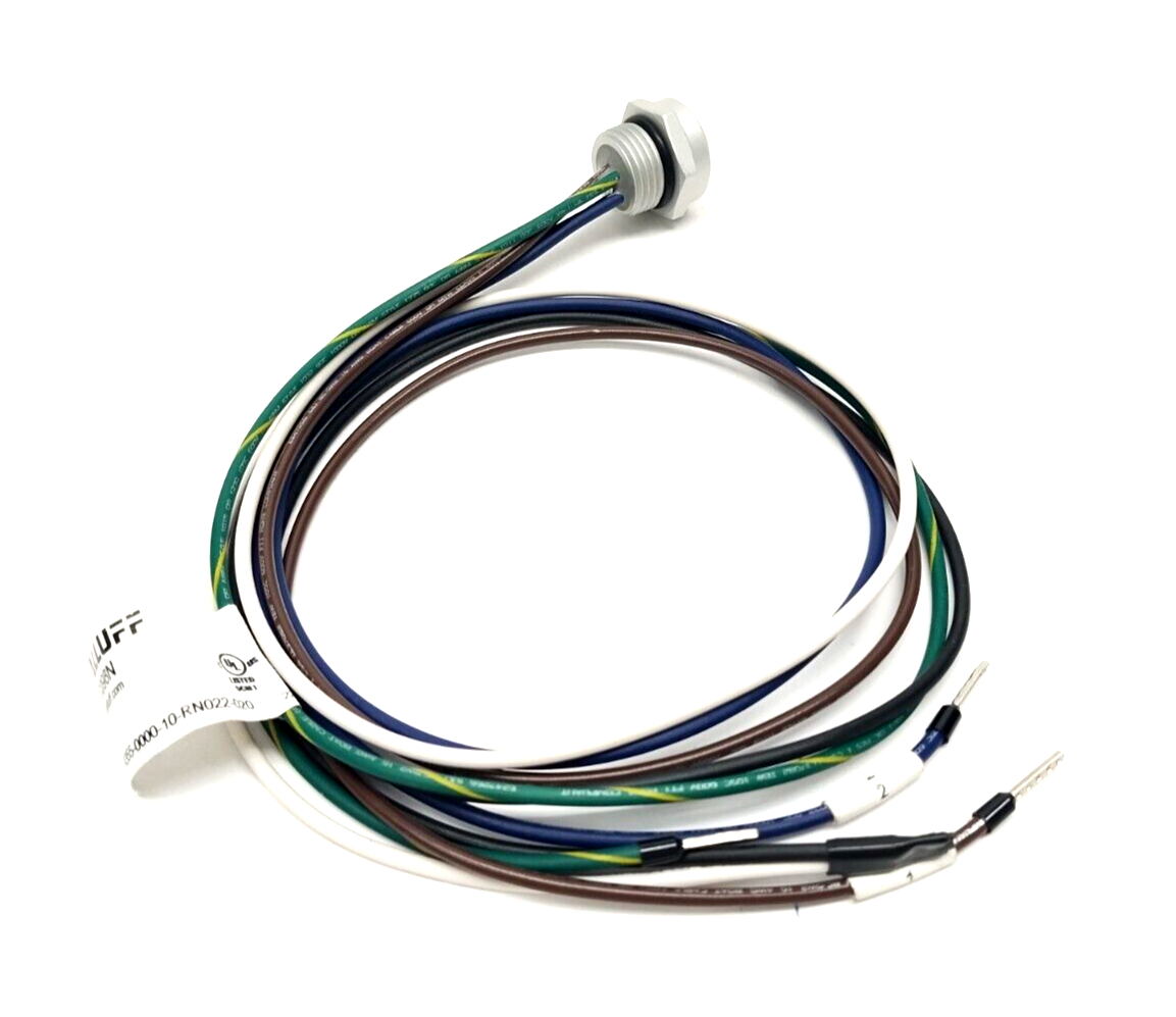 Balluff BCC098N 7/8" 5-Pin Female Receptacle BCC A355-0000-10-RN022-020 LOT OF 3 - Maverick Industrial Sales