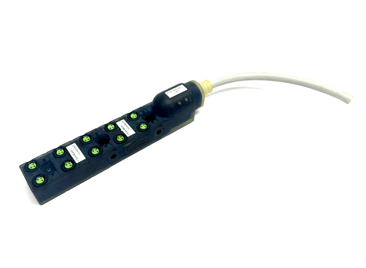 8000-80010-3850300 | Murr Elektronik EXACT8, 10XM8, 3 POLE LTG.FEST - Used - Maverick Industrial Sales