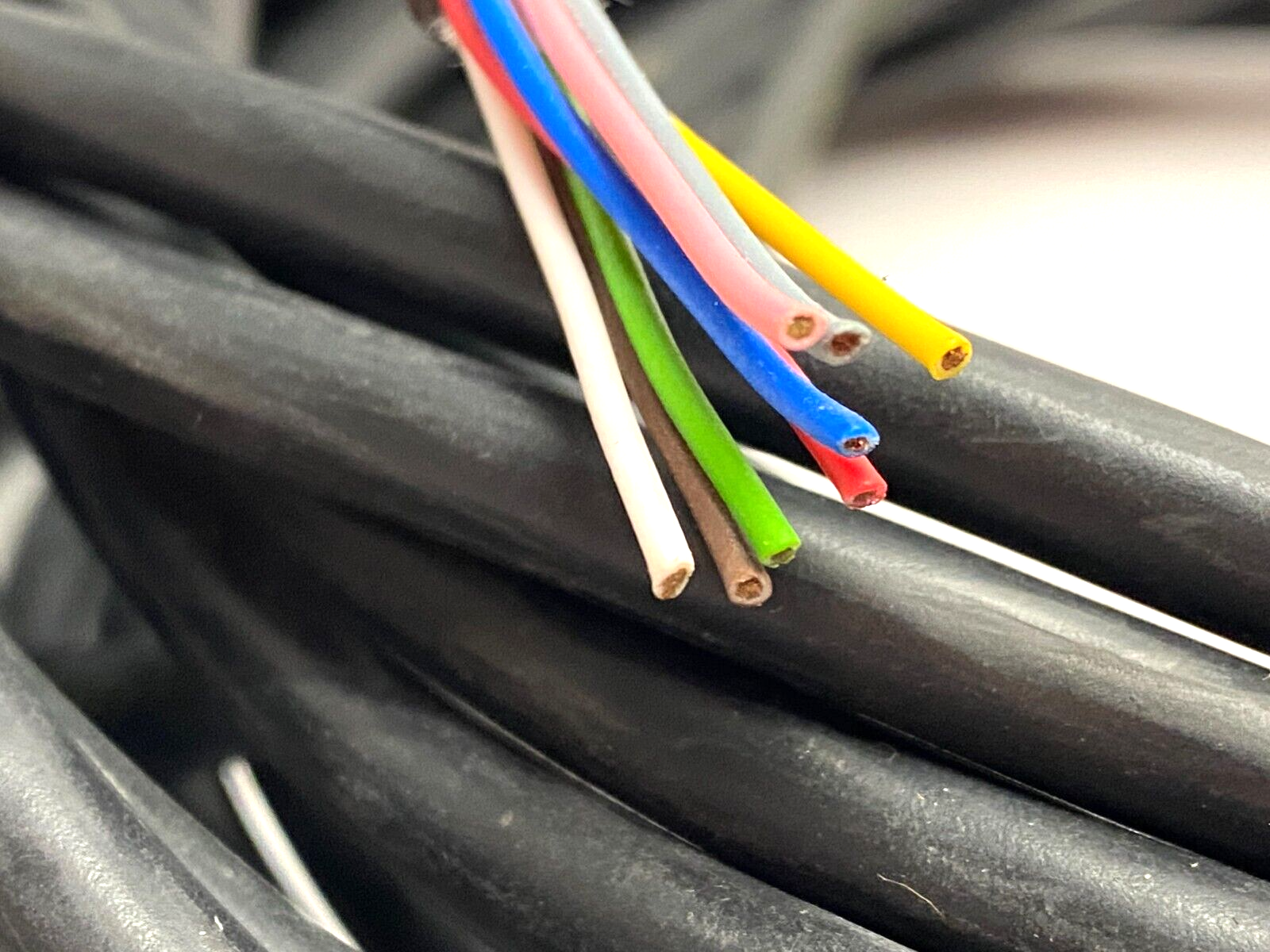 Pepperl+Fuchs 23998-0053 Single-Ended M12 Female Cordset V19-G-BK20M-PVC-U - Maverick Industrial Sales