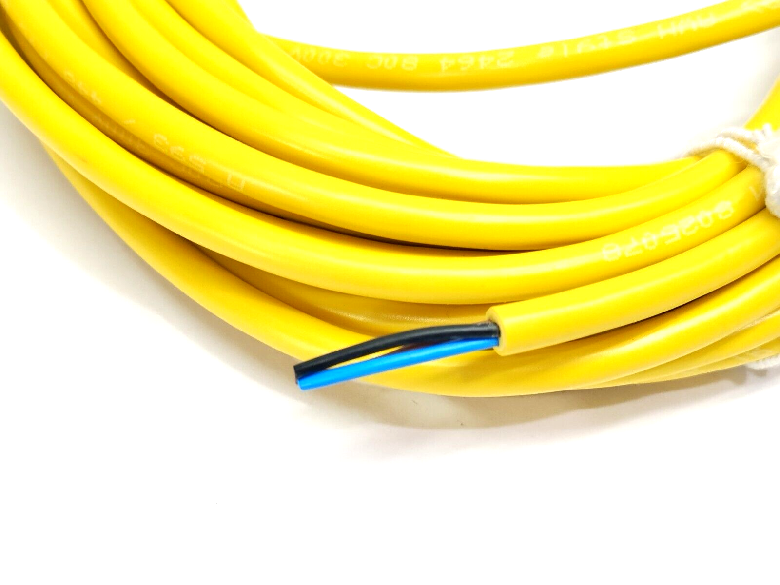 Lumberg Automation RKMWV 3-593/10 M Single End Cordset M8 Female Angle 3-Pin 10m - New – Open box - Maverick Industrial Sales