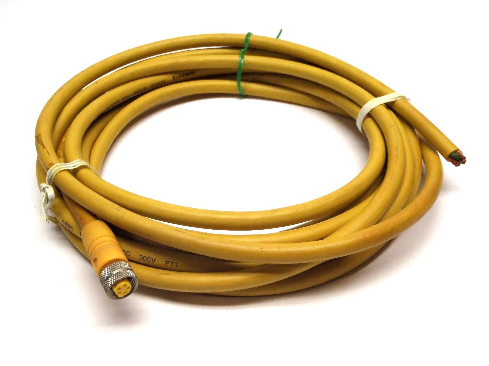 909655 | Lumberg RKT 5U-655/15FT 300V 5 Wire Female to Flying Leads - Used - Maverick Industrial Sales