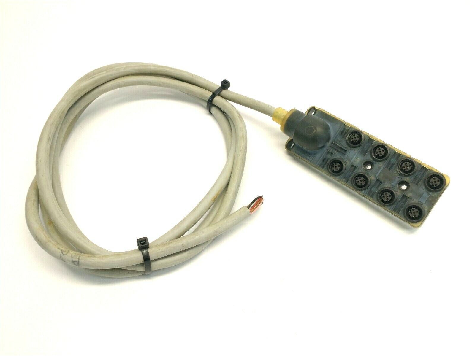 Murr Elektronik 8000-88510-3980500 Exact12 8xM12 5-Pole CABLE CUT TO 7 FEET - Maverick Industrial Sales