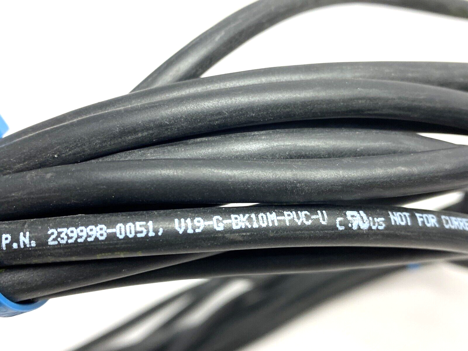 Pepperl+Fuchs V19-G-BK10M-PVC-U Single-Ended M12 Female Cordset 239998-0051 - New – Open box - Maverick Industrial Sales