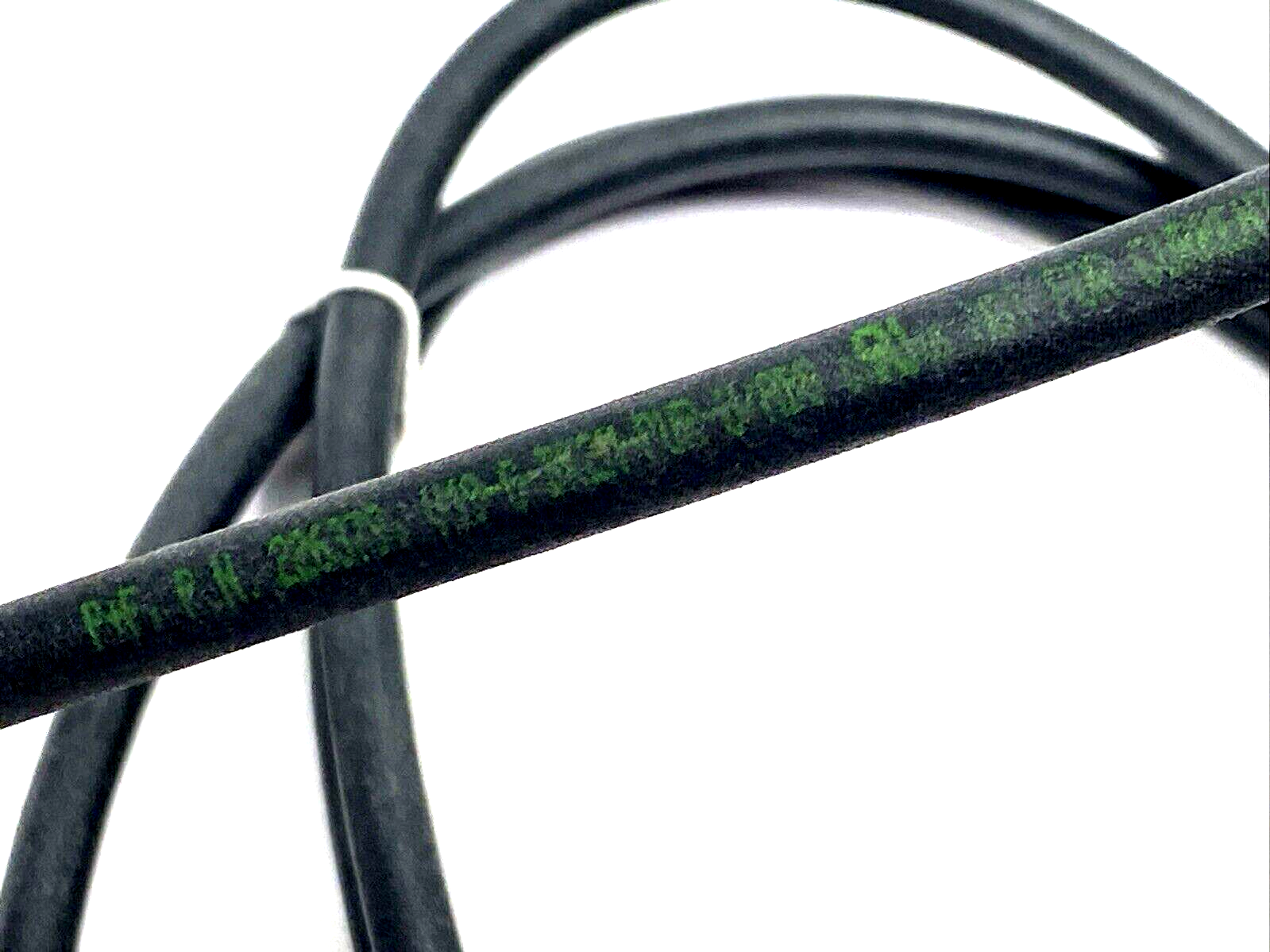 Pepperl+Fuchs V19-G-BK2M-PUR-U/ABG Cordset M12 8-Pin Female 2m 226379 - Maverick Industrial Sales