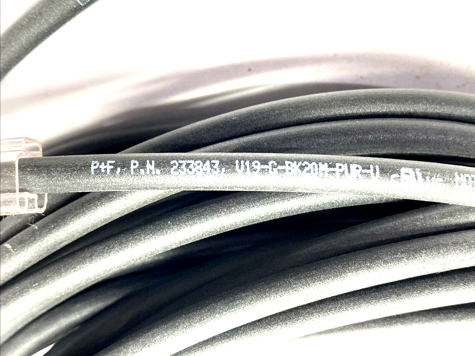 Pepperl+Fuchs V19-G-BK20M-PUR-U Female Cordset M12 8-Pin 20m 233843 - Maverick Industrial Sales