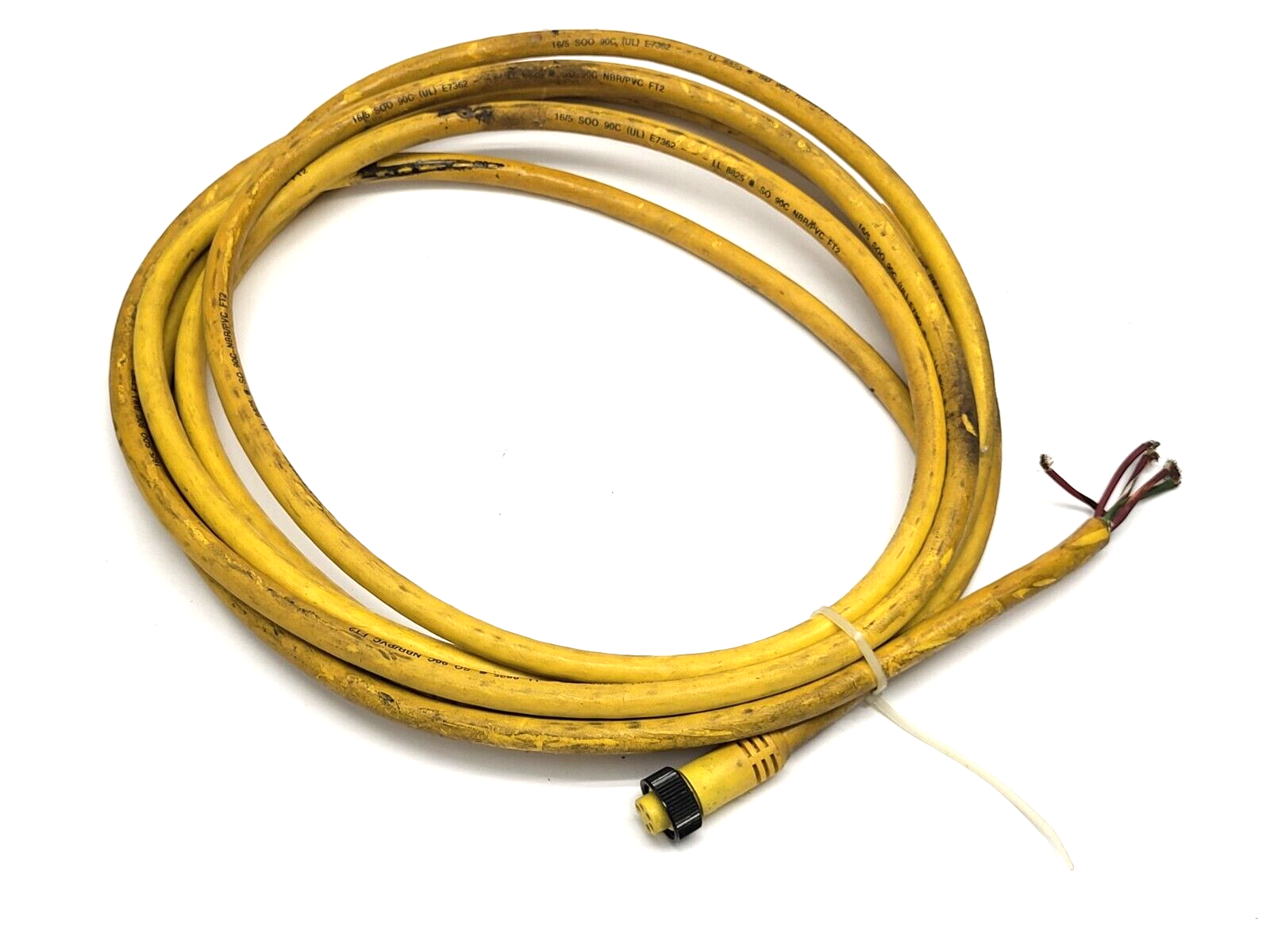 105000C01F200 | Brad Harrison 5-Pin Female Connector 2' Cable - Used - Maverick Industrial Sales