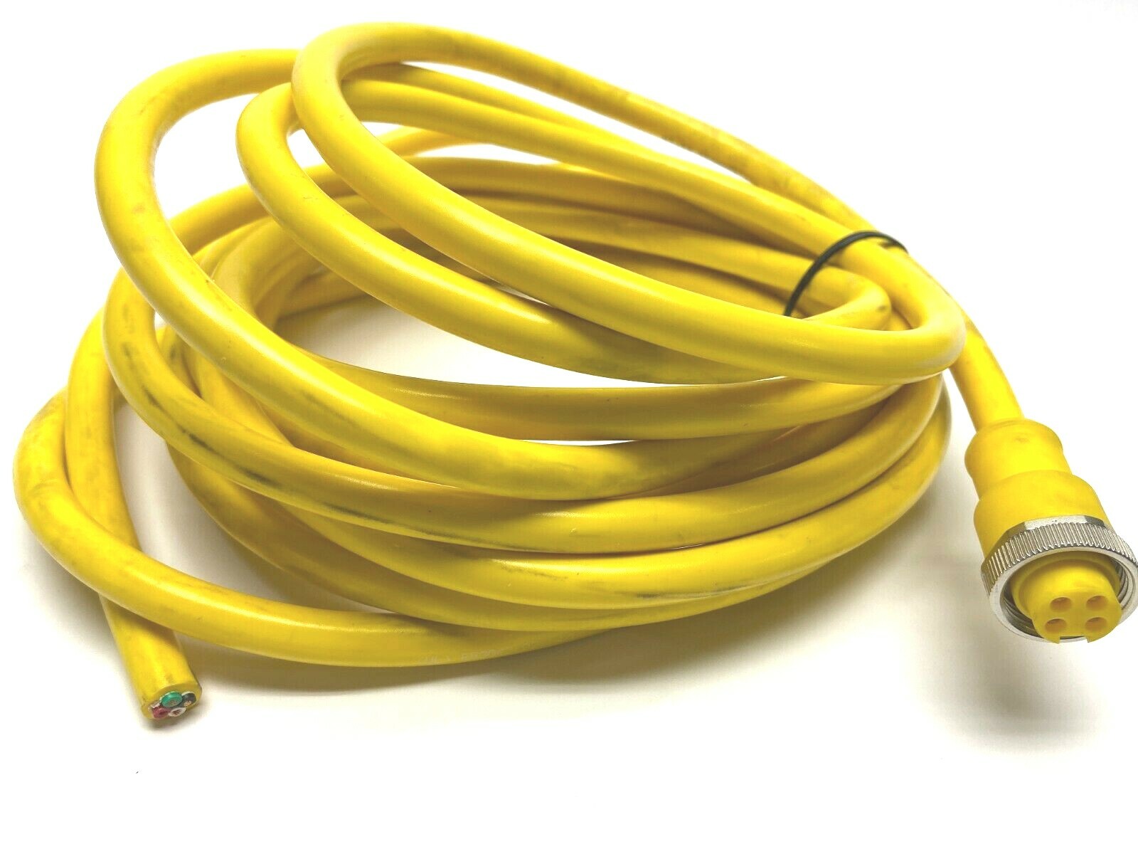 4 Pin M21 Female Single Ended Cordset 20' - Used - Maverick Industrial Sales