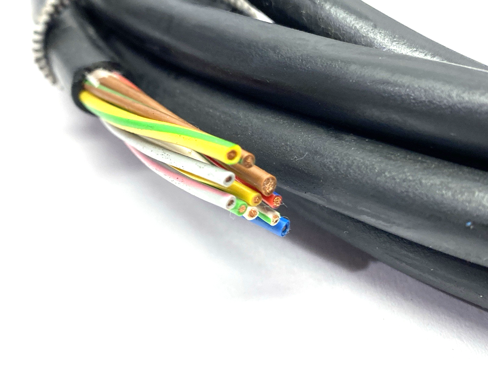 Lumberg Automation RKWU 12-66/5M Single-Ended Cordset M23 Female 1.173.3066.00 - Maverick Industrial Sales