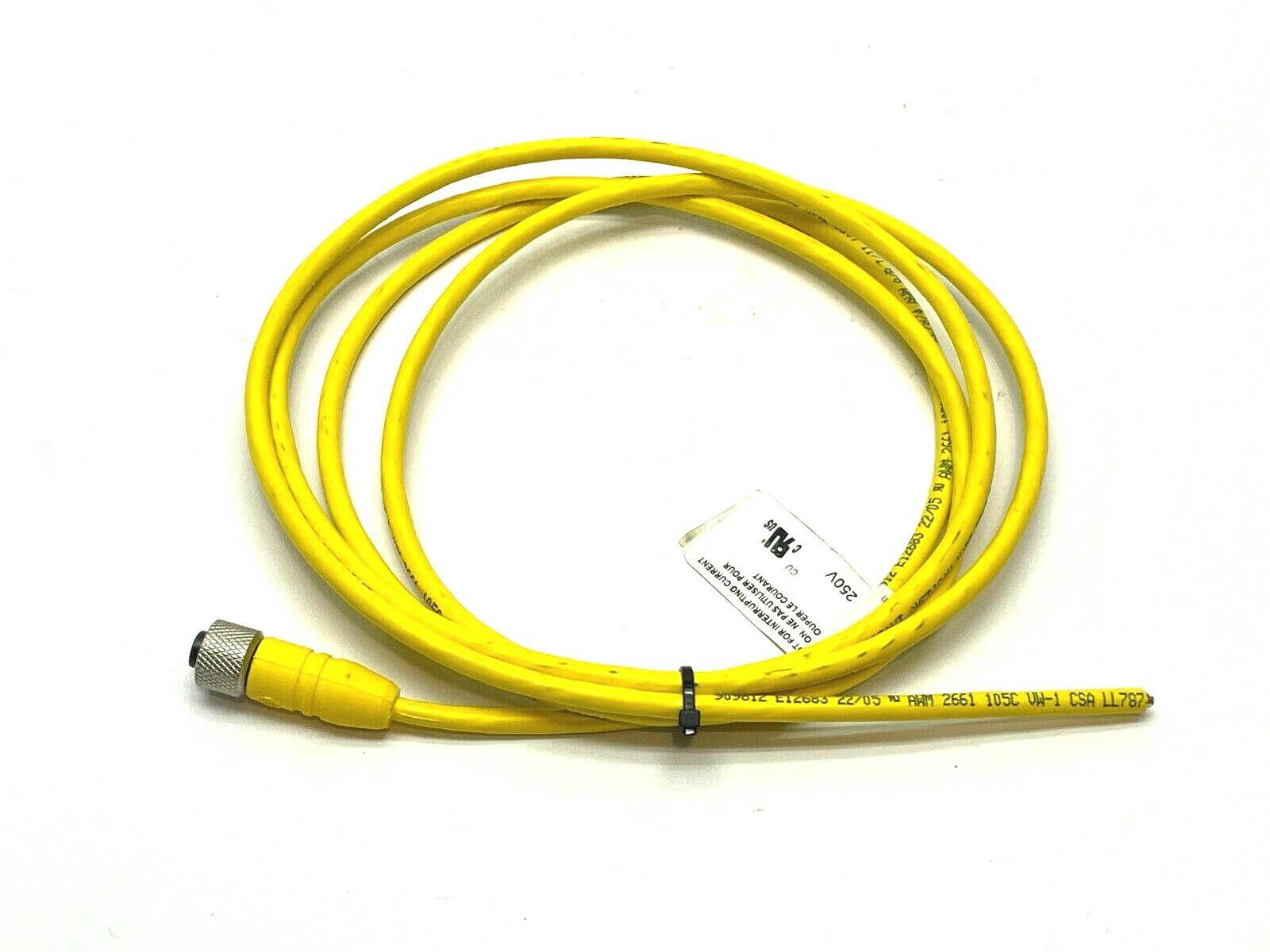 RKT 5-612/2M | Lumberg Automation Cordset 5-Pole M12 Female 6ft Length- Used - Maverick Industrial Sales