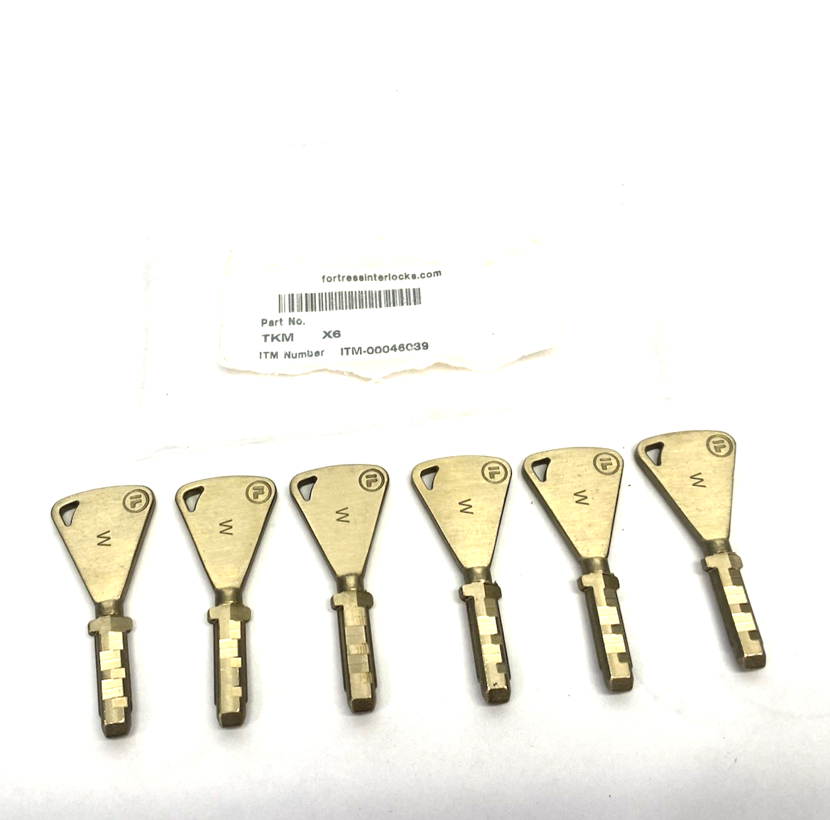 TKM X6 | Fortress Interlocks tGard Master Key ITM-00046039 LOT OF 6- New – Open box - Maverick Industrial Sales