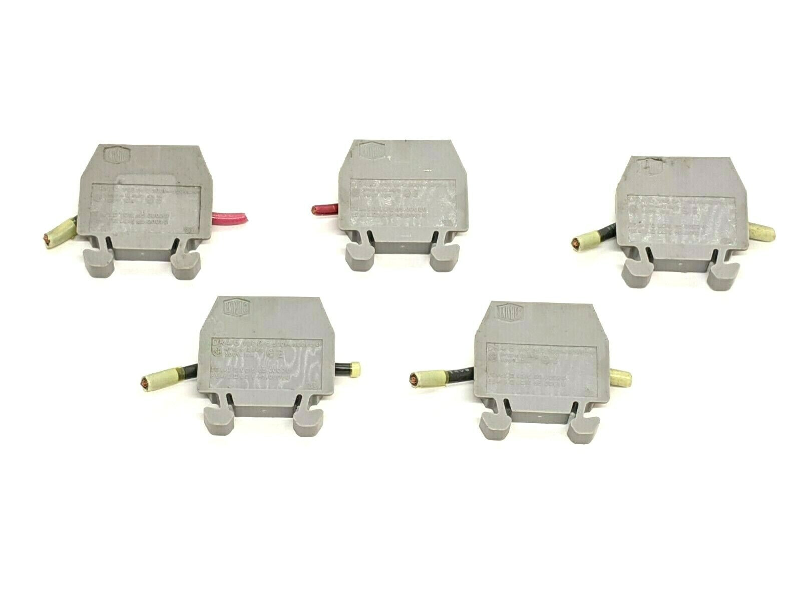 DR4/6 | Entrelec Screw Clamp Terminal Block Gray LOT OF 5 - Used - Maverick Industrial Sales