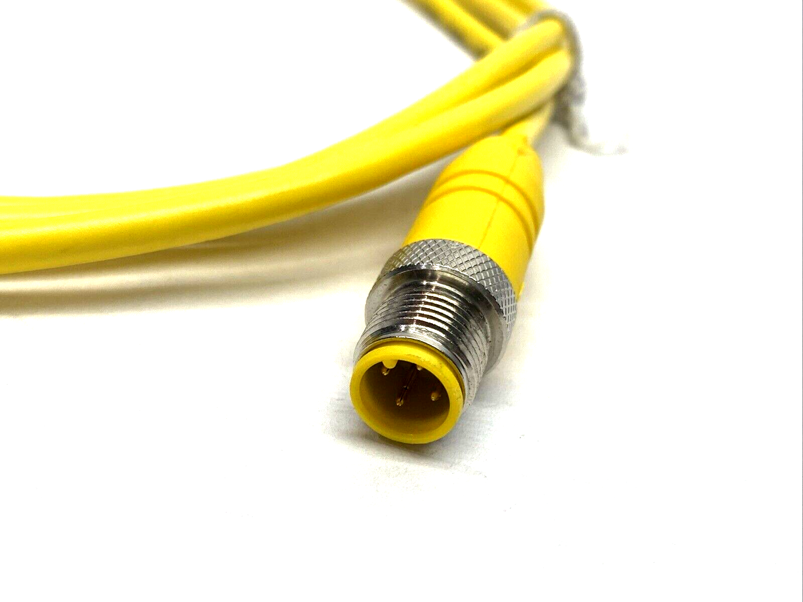 Lumberg Automation RST 4-633/2M Cordset M12 4-Pin Male 2m 600000597 - New – Open box - Maverick Industrial Sales