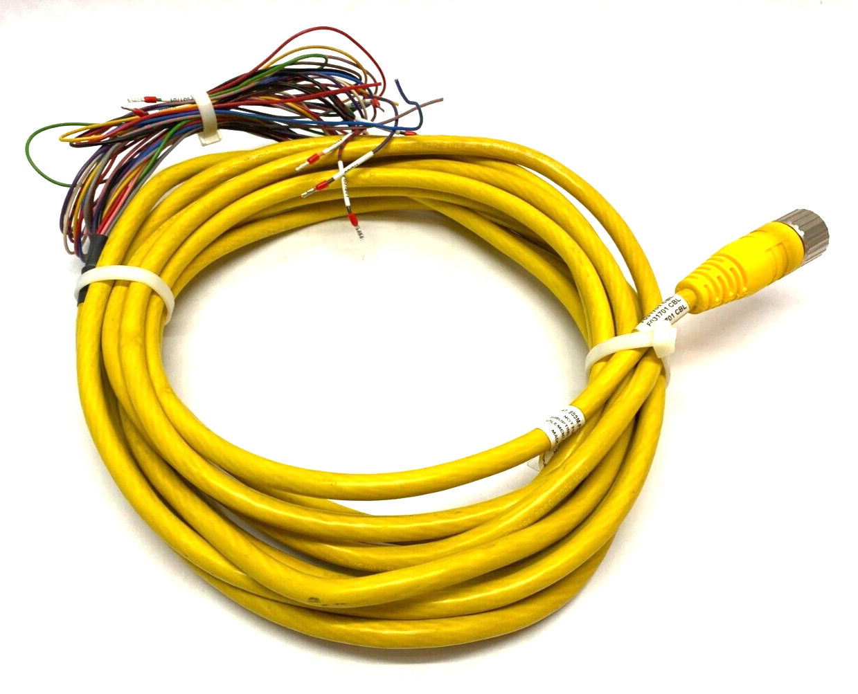 Allen Bradley 889M-F12AH-10 Ser. A Single Ended Cordset M23 12-Pin 23' Length - Used - Maverick Industrial Sales