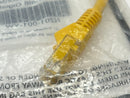 Tripp Lite N201-001-YW Cat6 Gigabit Yellow Snagless Patch Cable 1ft - Maverick Industrial Sales