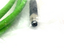 Phoenix Contact NBC-M 8MS/ 2,0-93B/R4AC Dbl-Ended Ethernet Network Cable 1407353 - Maverick Industrial Sales