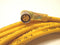Turck PKW 3M-P7X2-6 Pico Fast Cable U0052-2 90 Deg Female Connector 3 pin - Maverick Industrial Sales