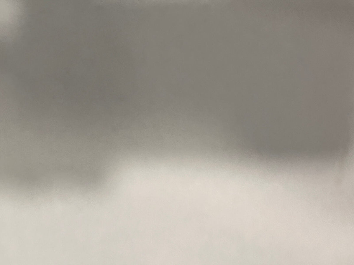 47838906