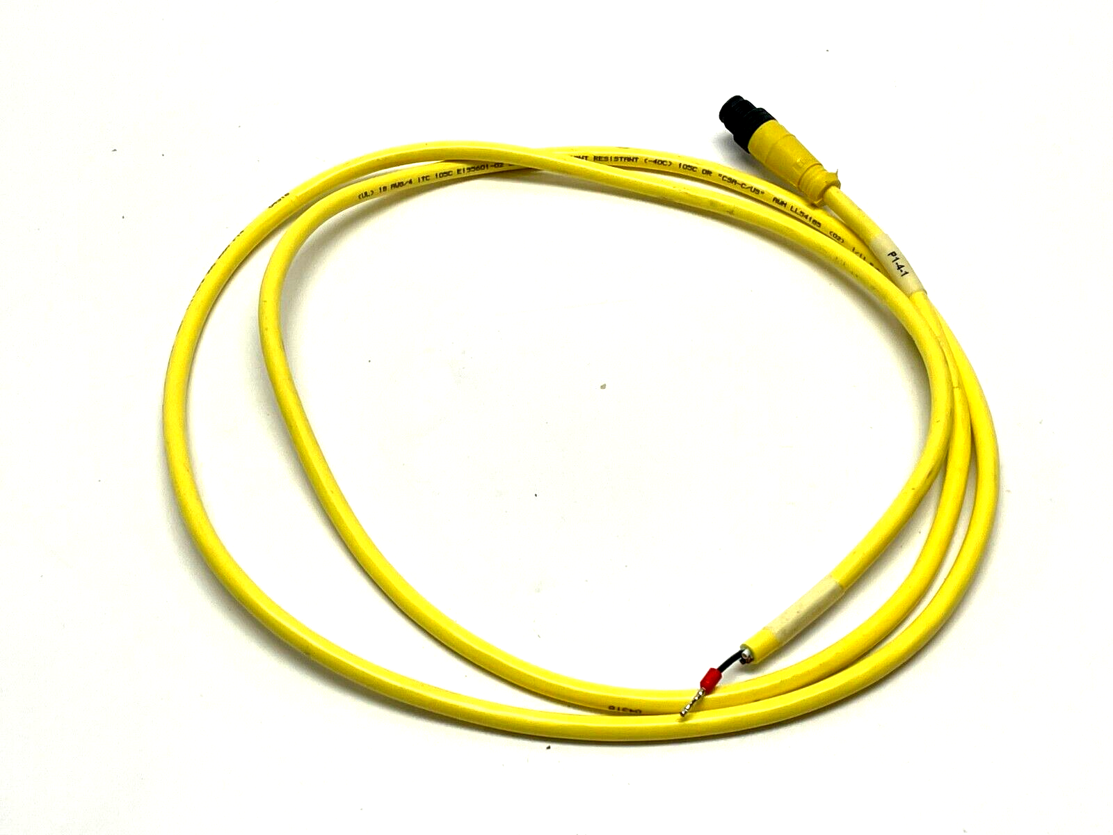 Brad Connectivity 1200668234 Single Ended Cordset 5ft Length - Maverick Industrial Sales