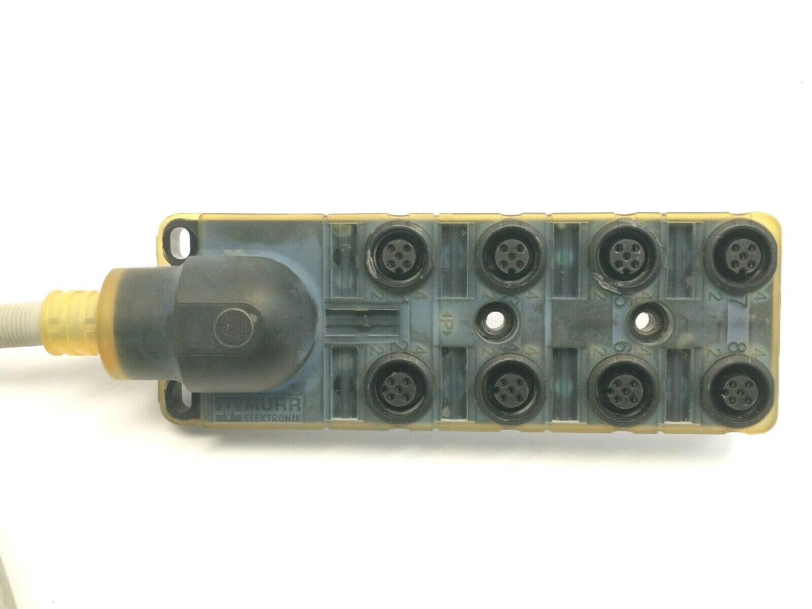 Murr Elektronik 8000-88510-3980500 Exact12 8xM12 5-Pole CABLE CUT TO 7 FEET - Maverick Industrial Sales