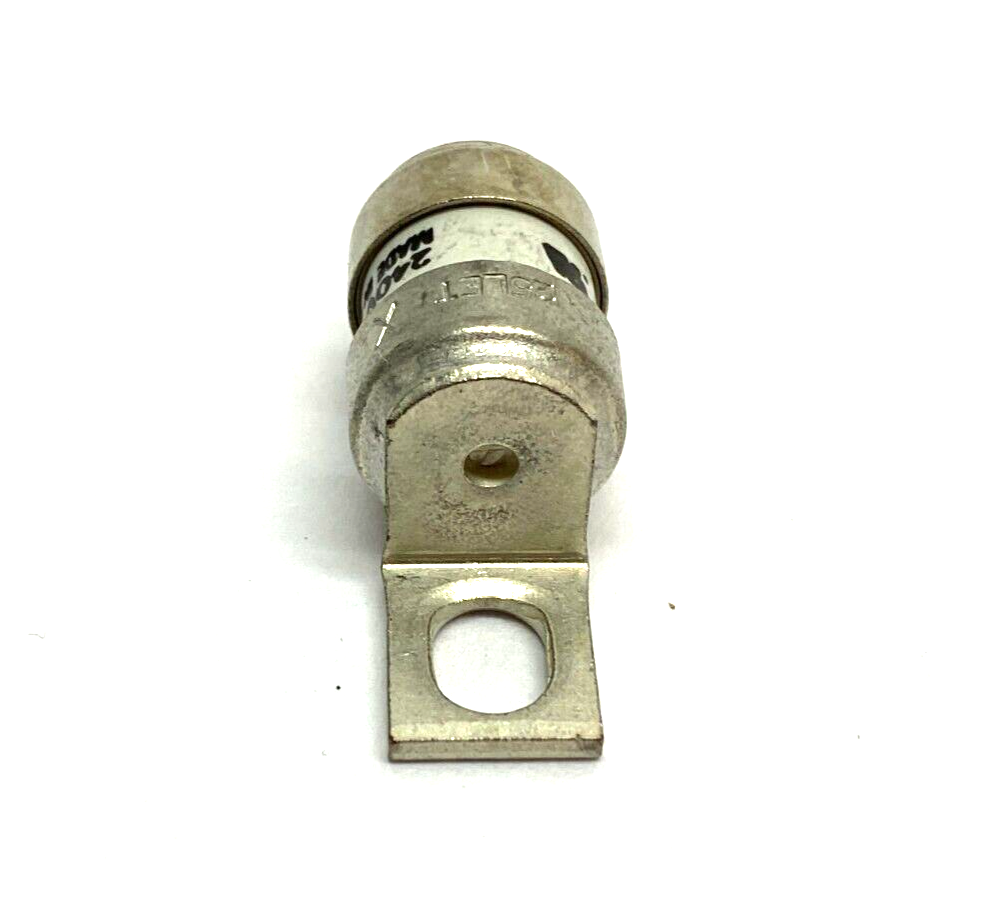 47900261