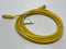 Lumberg Automation RST 4-RKT 4-633/5M Actuator Sensor Cable M/F M12 4-Pin 5m - Maverick Industrial Sales