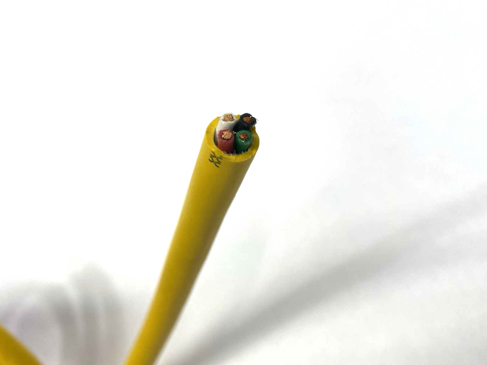 7700-A4021-U1C0200 | Murrelektronik Power Cable 7/8" Female Connector 2m SHELFWARE - New – Open box - Maverick Industrial Sales