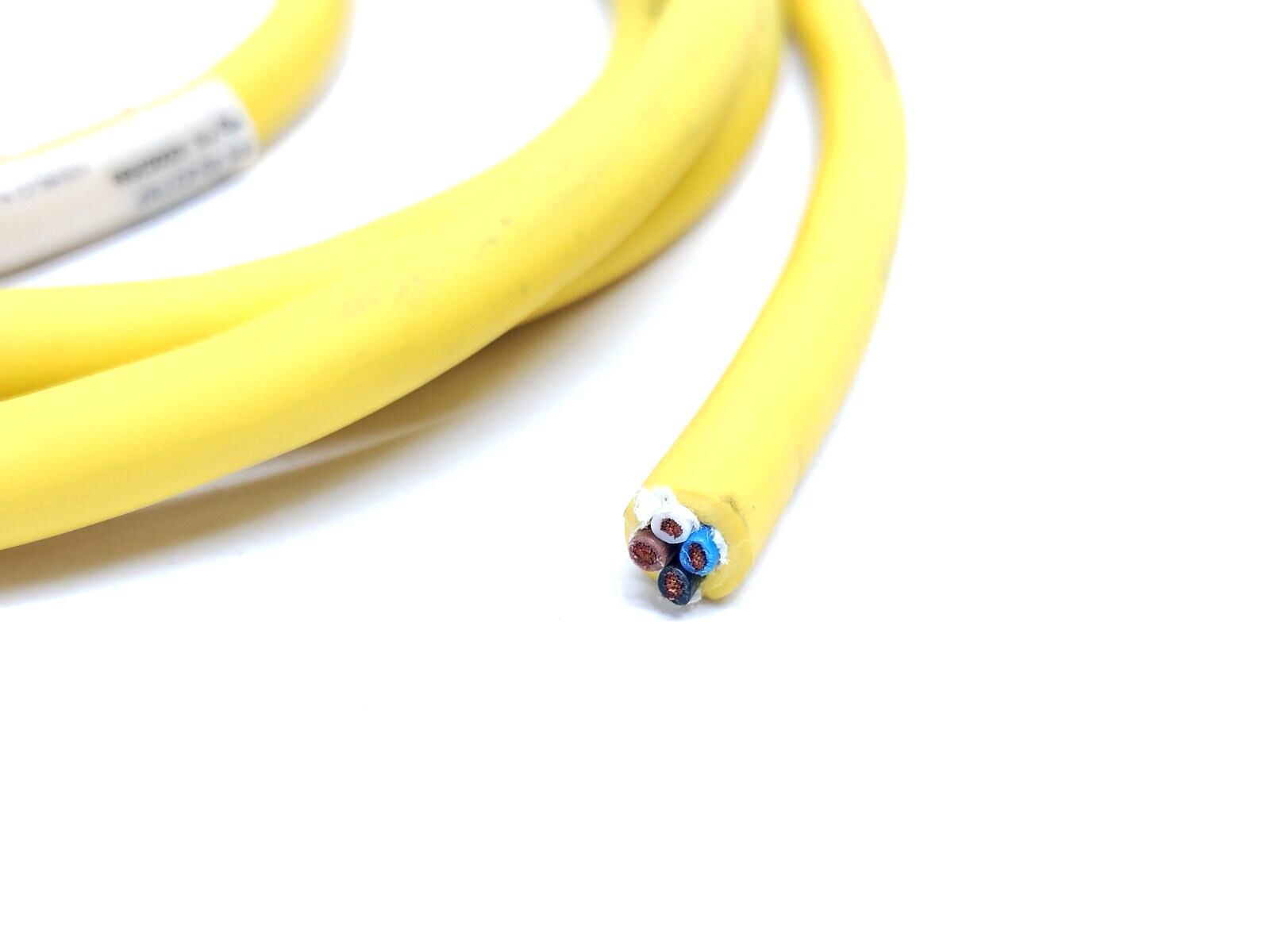 500002699, RK 40-637/6F | Lumberg Automation RK 40-637/6F Single End Cordset 7/8" Female 6FT 500002699 - New – Open Box - Maverick Industrial Sales