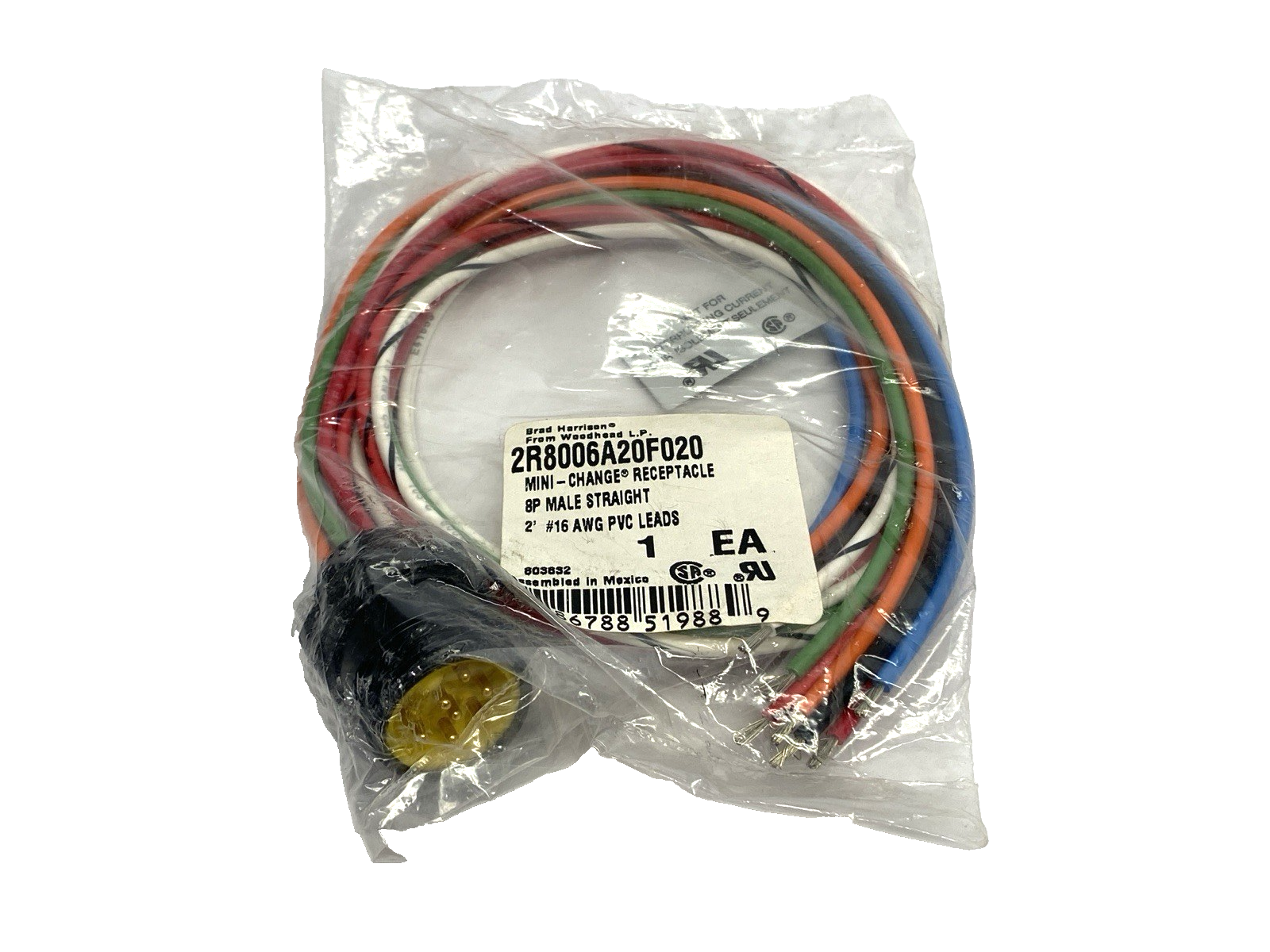 Brad Harrison Woodhead 2R8006A20F020 Mini-Change Receptacle 8P Male Straight 2' - Maverick Industrial Sales
