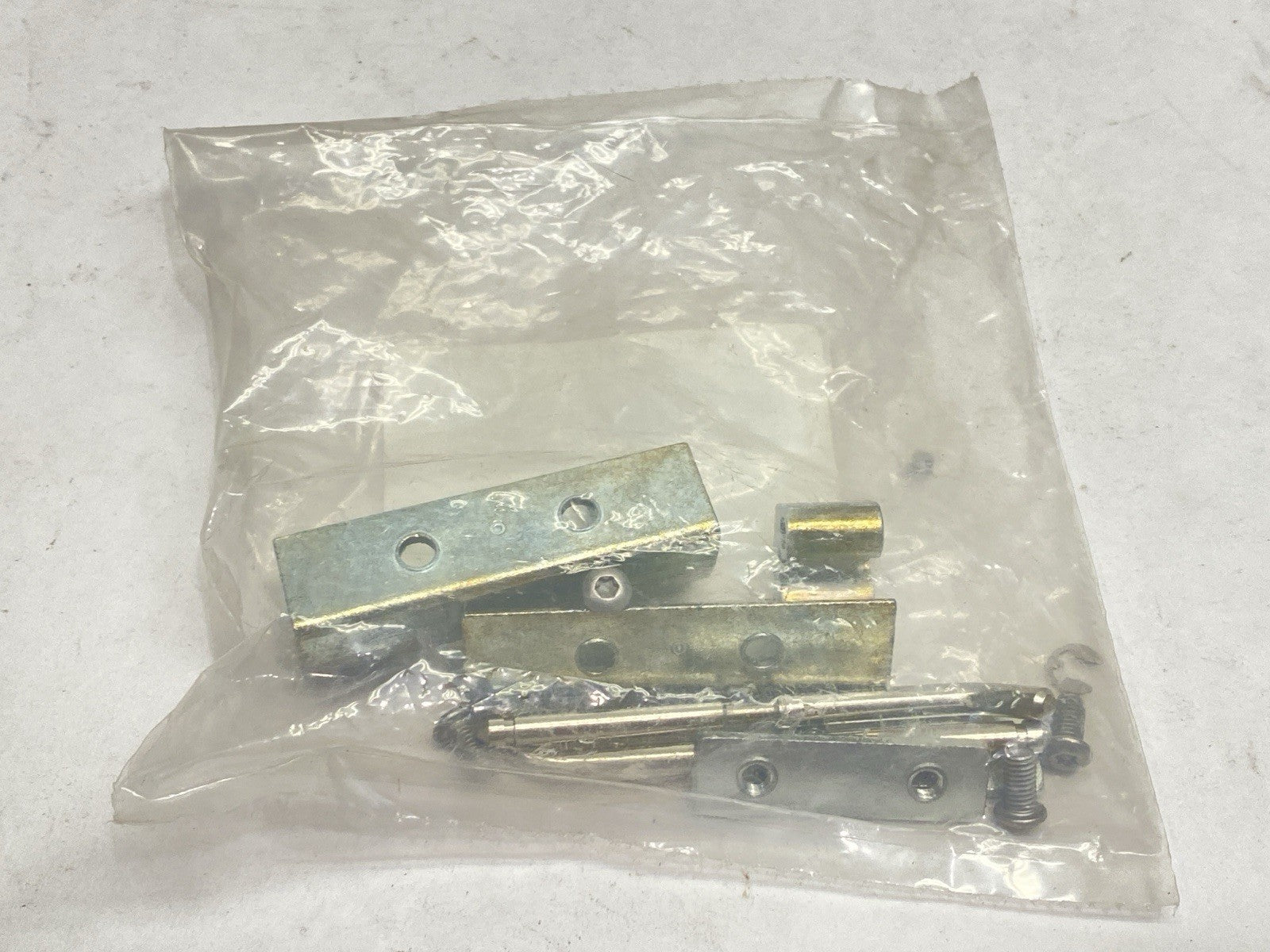 Saginaw SCE-3918 Replacement Hinge With Pin - Maverick Industrial Sales