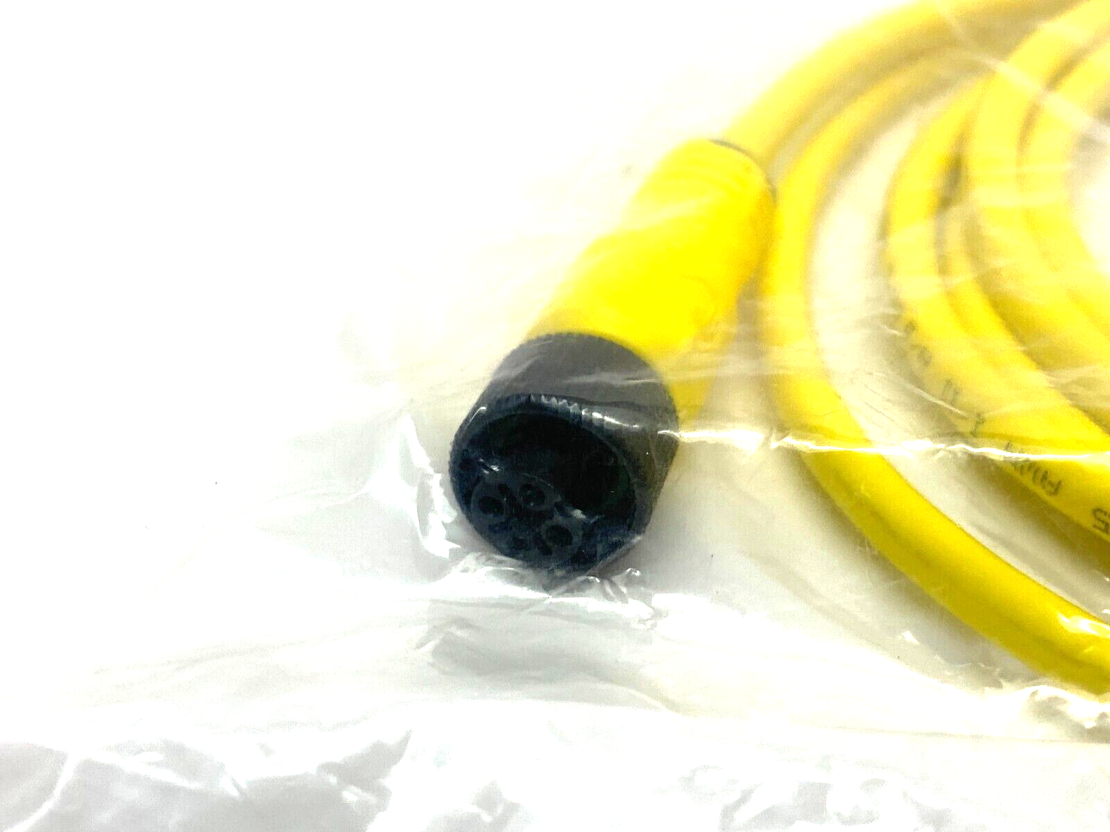 Allen Bradley 889D-F4AB-2 Ser. B Straight Micro Cable Cordset Single Ended 4-Pin - Maverick Industrial Sales