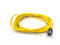 Turck TC9S 2-P642-5M Single Ended Mating Cable 9.4mm Space U99-13803 - Maverick Industrial Sales