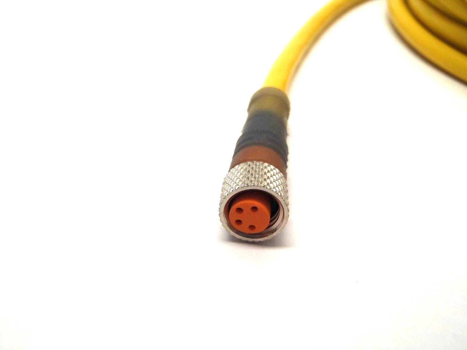 Belden Lumberg Automation RKMV 4-594/5M M8 Cordset - Maverick Industrial Sales
