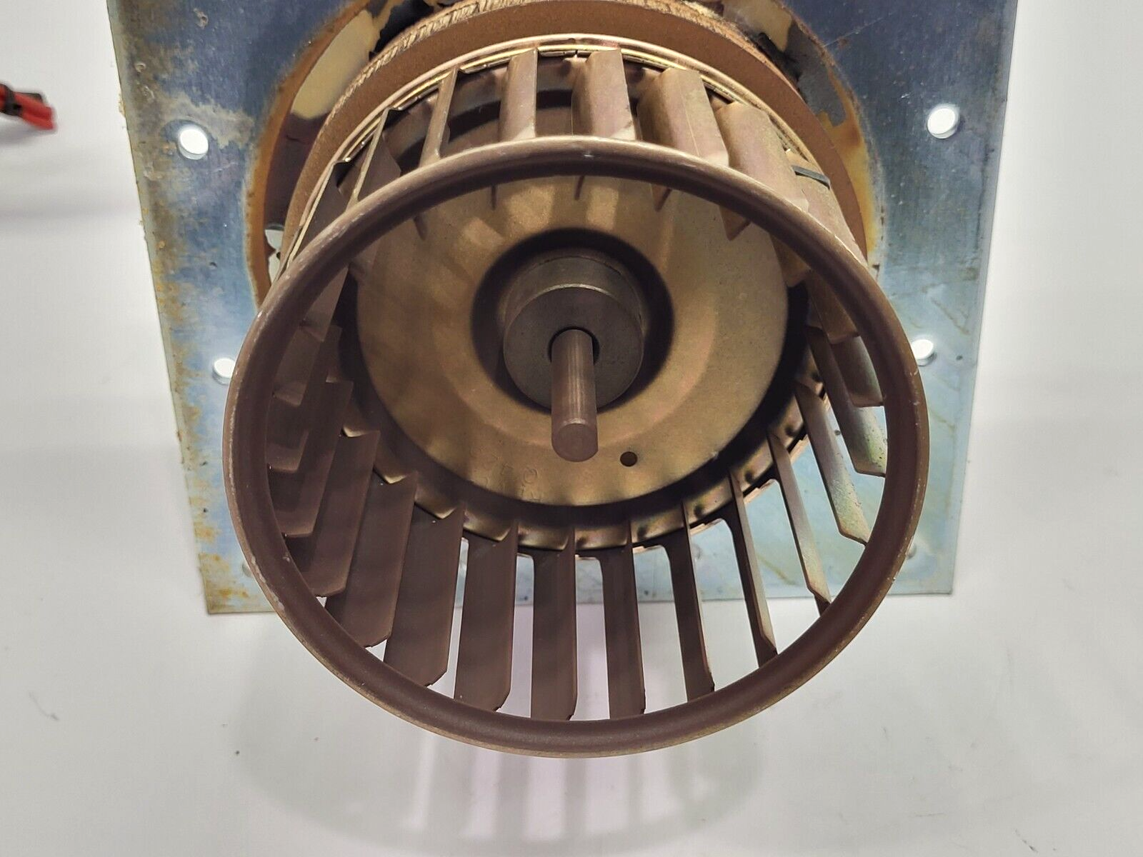 A.O. Smith JF1F074NV Blower Motor - Maverick Industrial Sales