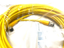 Balluff BCC M425-M414-3A-304-EX44T2-200 Double-Ended Connection Cordset BCC0C80 - Maverick Industrial Sales