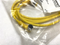 Turck PKW 4M-2-WS 4.4T Cordset U-20415 - Maverick Industrial Sales