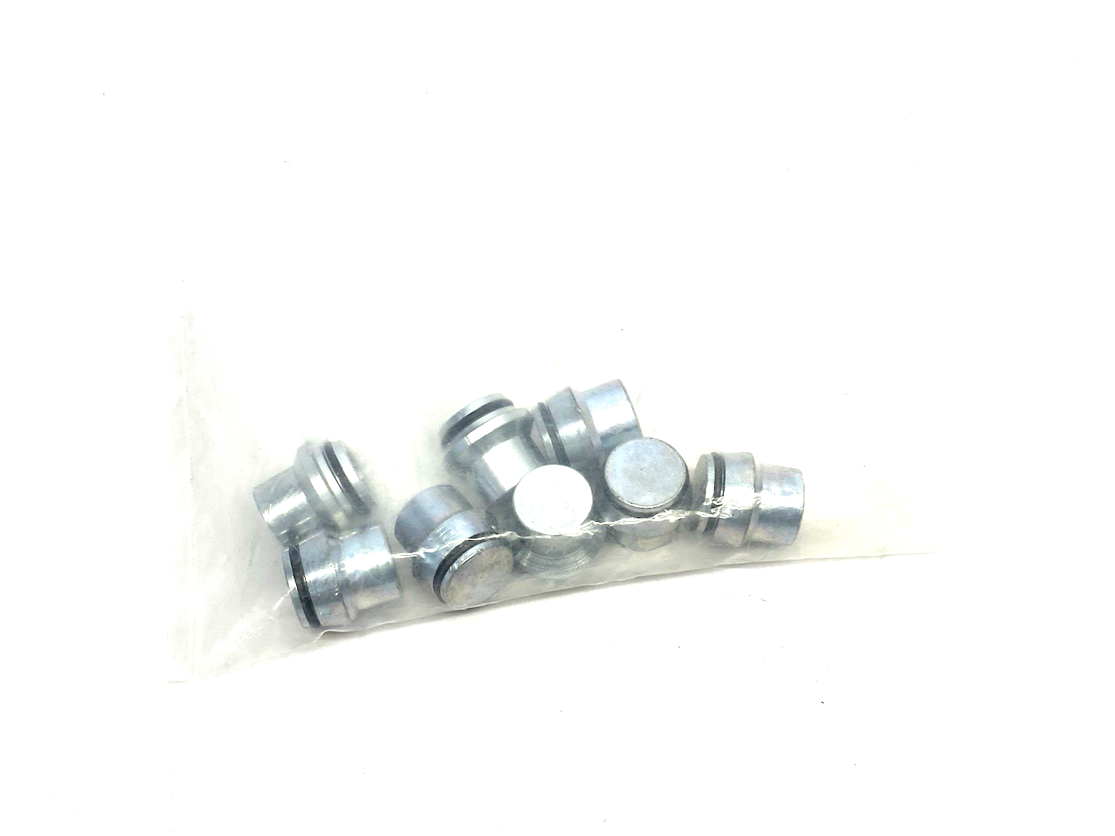 22400992 | Wagner Reinhardt-Technik Sealing Plug with O-Ring PKG OF 8 - New - Maverick Industrial Sales