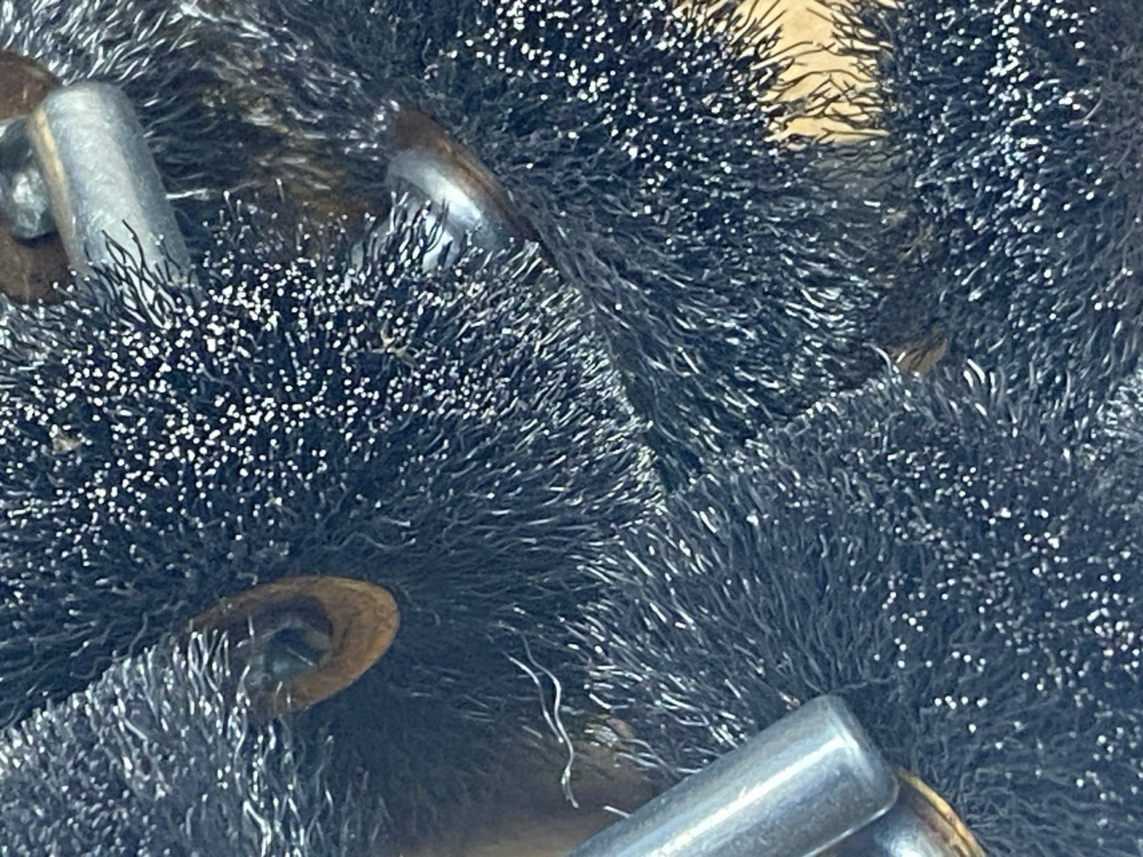 47501574