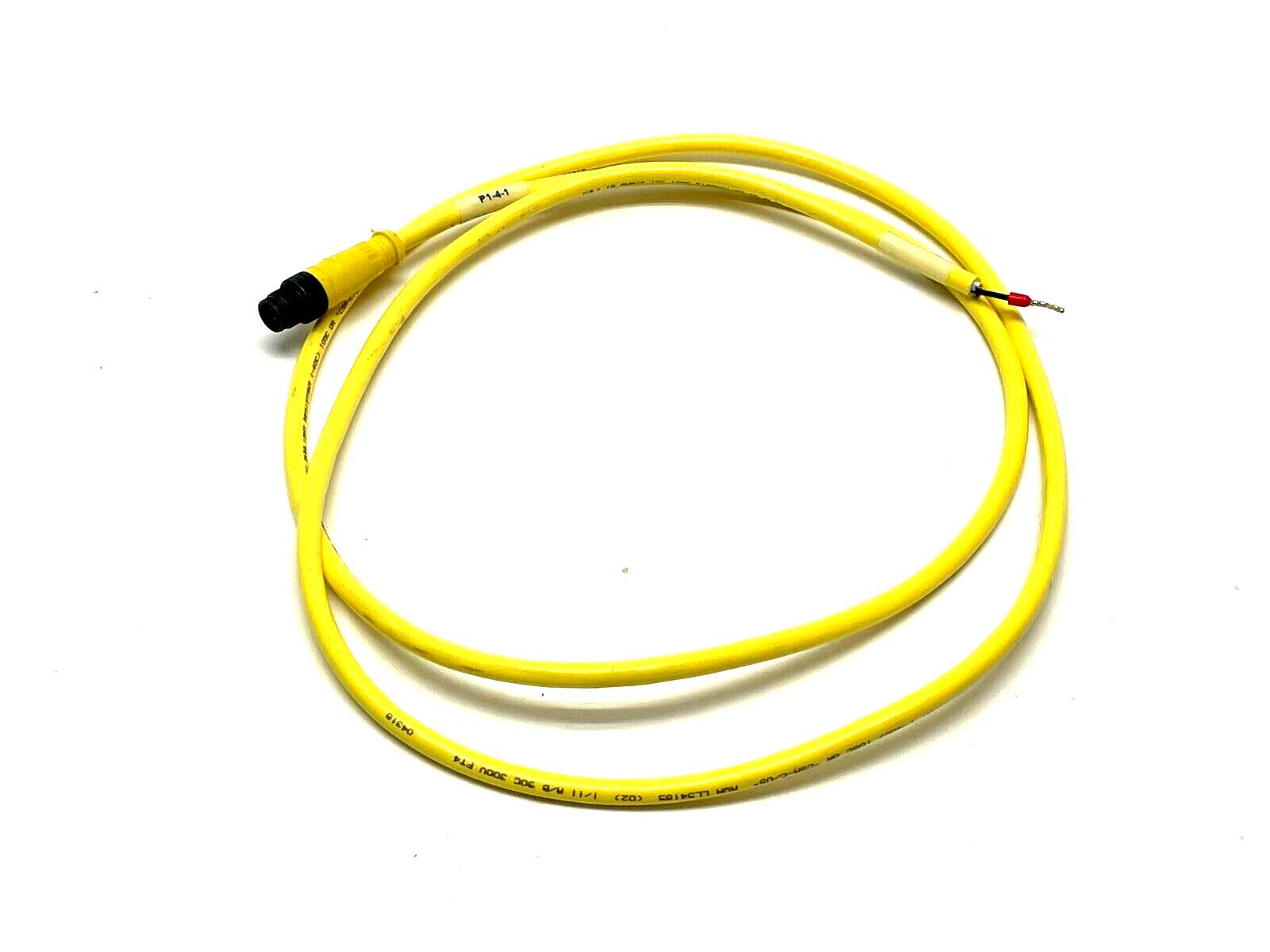 Brad Connectivity 1200668234 Single Ended Cordset 5ft Length - Maverick Industrial Sales