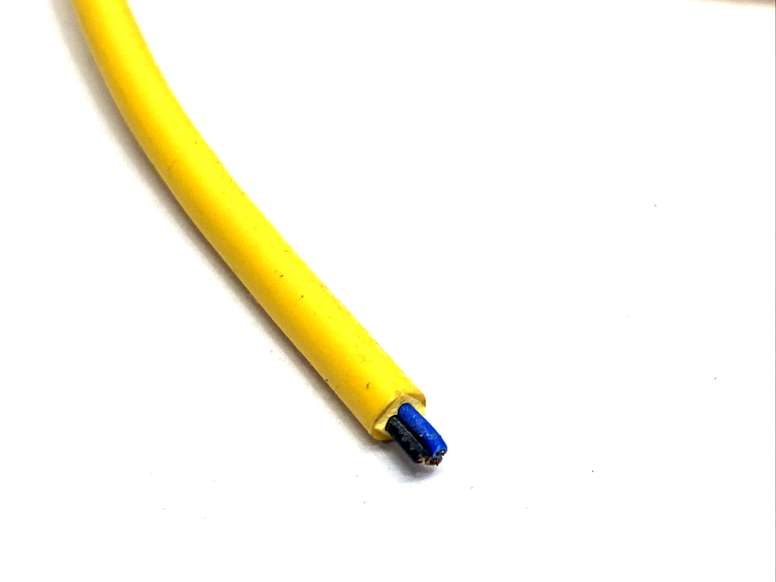 BCC05RN | Balluff Cable, M12 Female Angle 5-Pin 5m BCC M425-0000-1A-001-EX43T2-050 - New – Open box - Maverick Industrial Sales