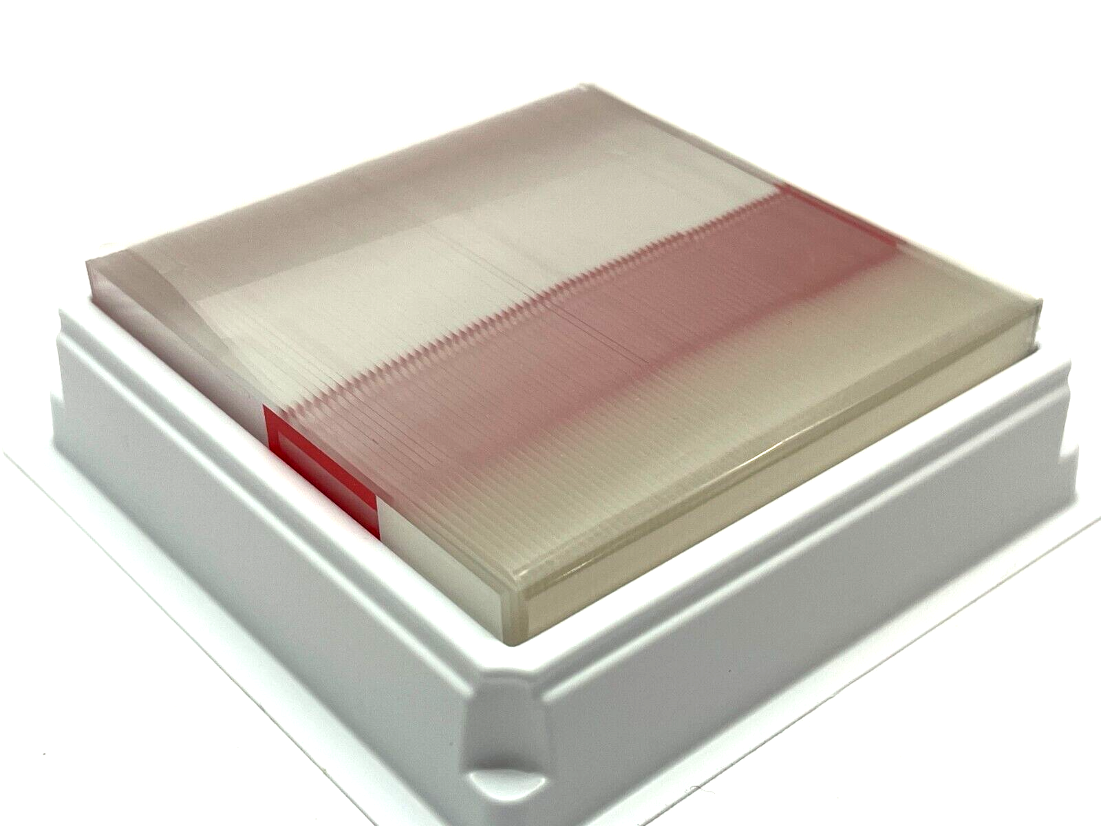 Thermo Scientific ES-325-001 SuperFrost Control Slides 1/2 Gross - Maverick Industrial Sales