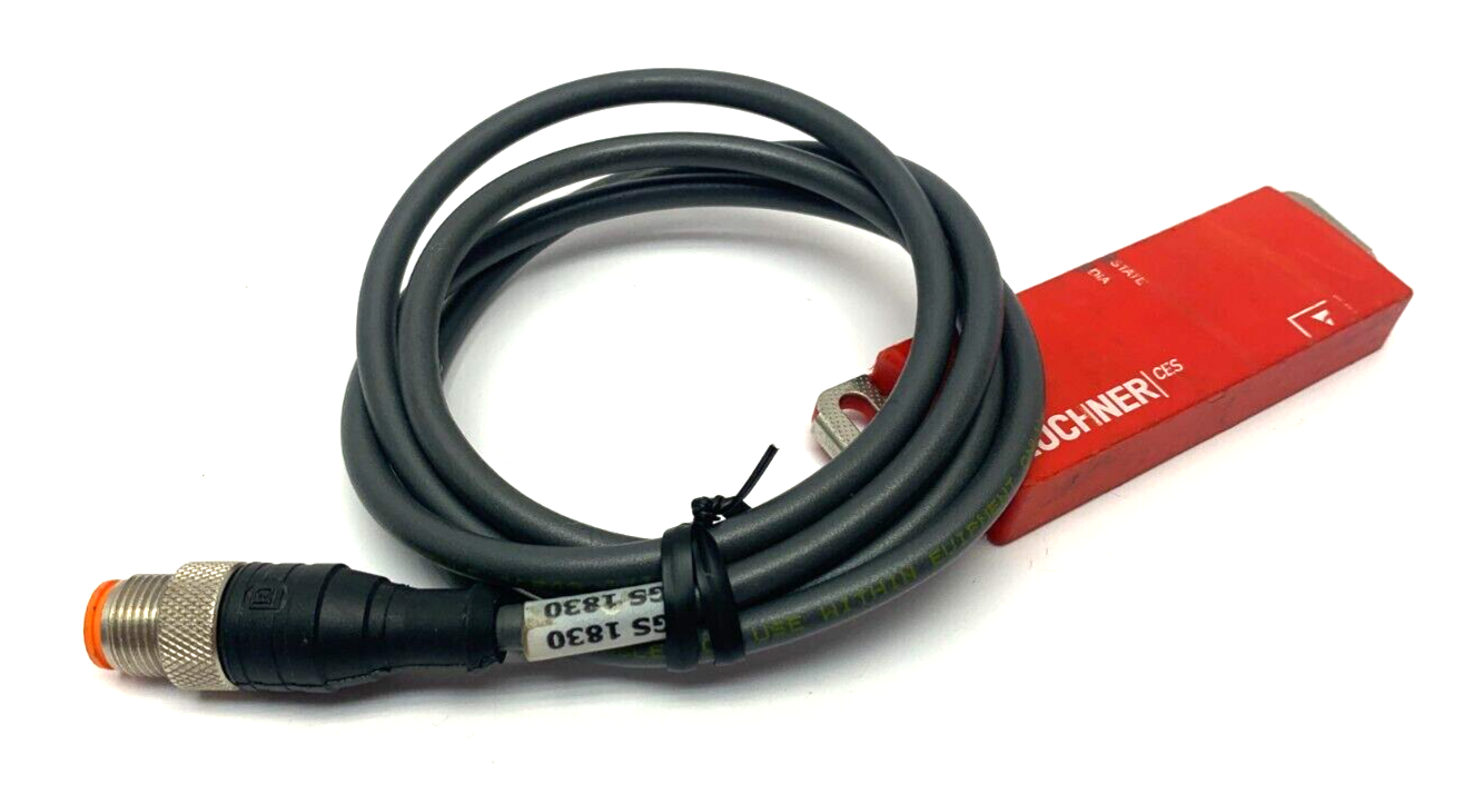 Euchner CES-AR-CR2-CH-SA-105745 Multicode Safety Switch V1.1.4 105745 - Maverick Industrial Sales