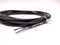 Lumberg Automation RKT 4-225/5 M Sensor Cable - Maverick Industrial Sales