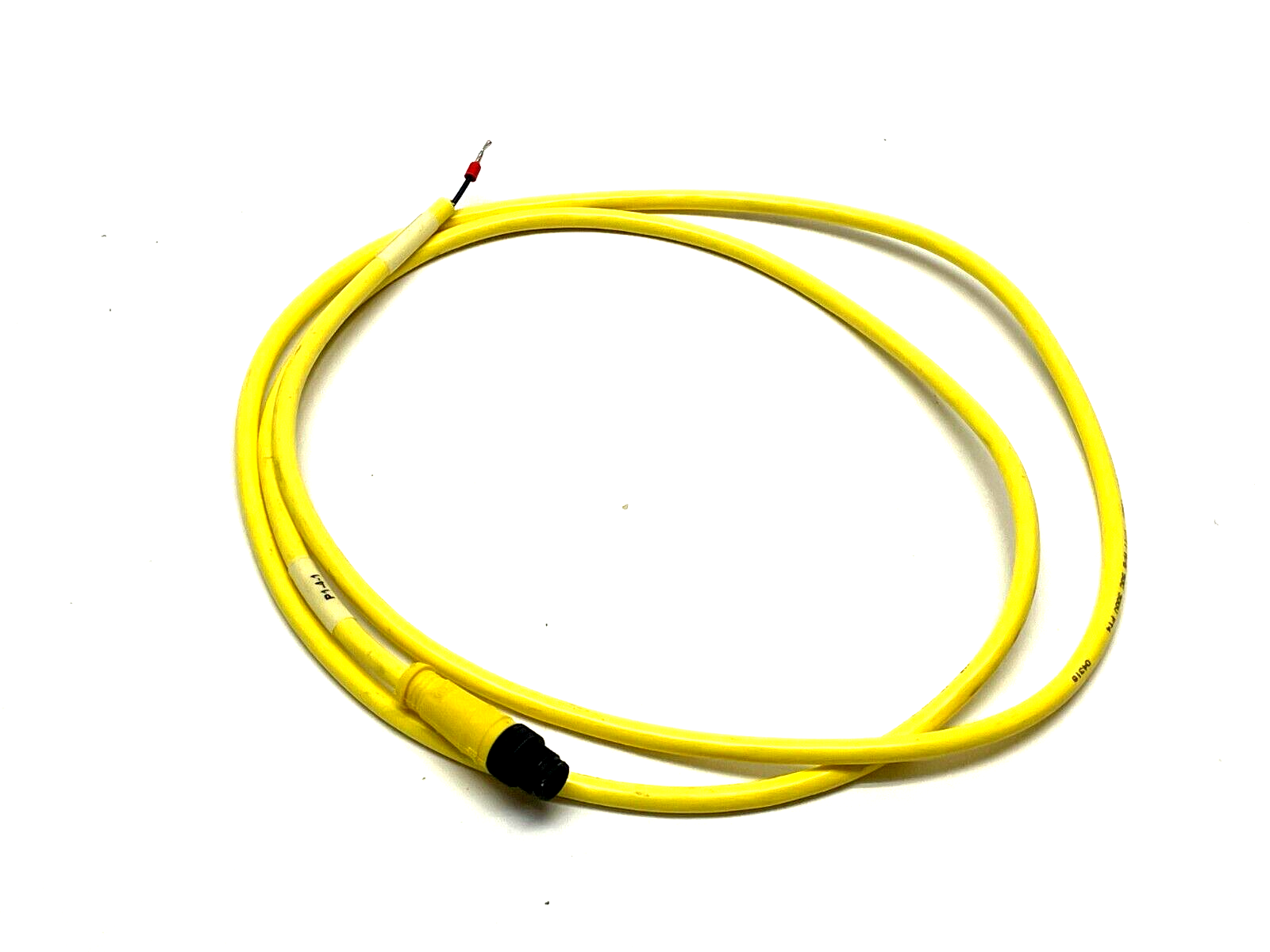 Brad Connectivity 1200668234 Single Ended Cordset 5ft Length - Maverick Industrial Sales