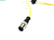 Banner CSB-M1281M1281 Splitter Cordset, 8-Pin M12 1 Male To 2 Female 73252 - Maverick Industrial Sales