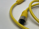 Lumberg Automation RST 5-RKT 5-612/1M Cordset M/F M12 5-Pin 1m 600000876 - Maverick Industrial Sales