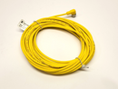 Lumberg Automation RKWT 4-633/10M Single-Ended Female Cordset 4-Pin 600000427 - Maverick Industrial Sales